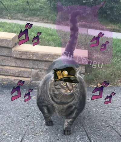 Muscular cat does a jojo reference