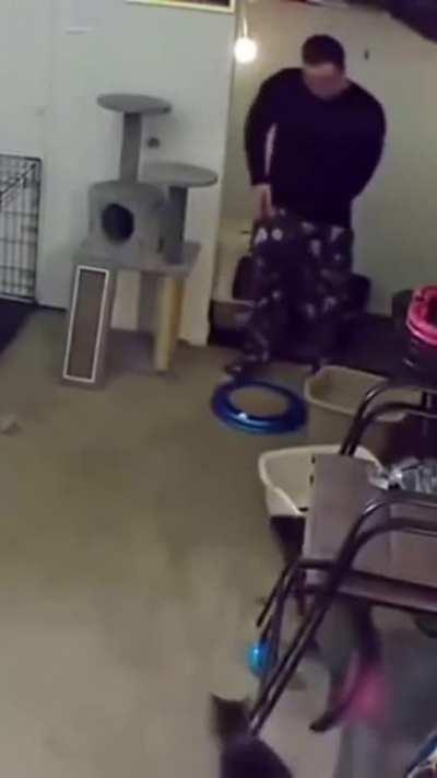 To be a responsible pet owner.