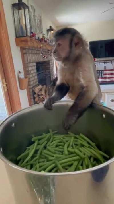 Green bean helper