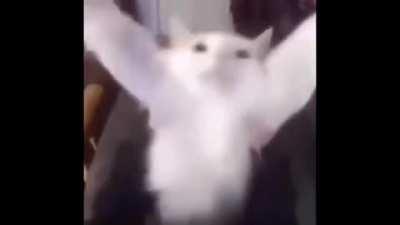 me with my palico after another successful hunt i love him very much he did such a good job ty