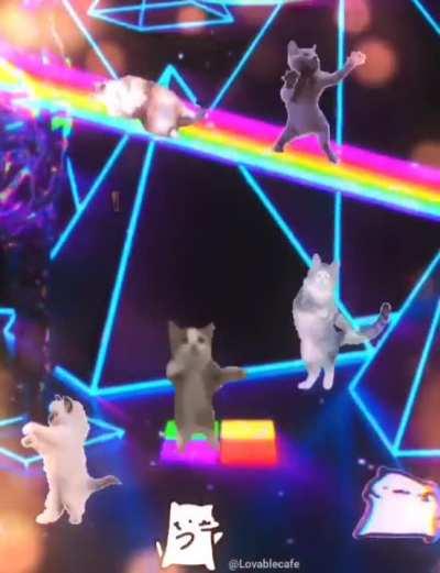 i am mentally insane 