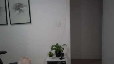 A Cria&ccedil;&atilde;o se voltou contra o Criador