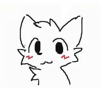 guys there is no meme