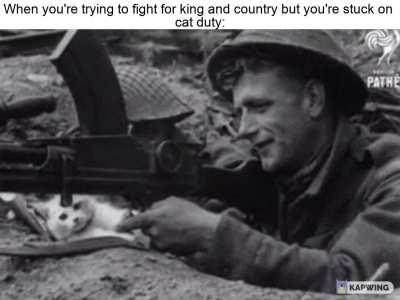 'Private Tibbles, leave Jenkins alone and get back on that machine gun!'