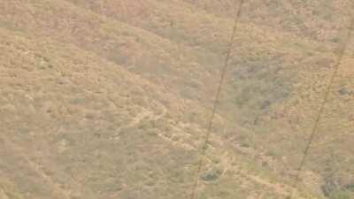 Decense possibly of an alíen on a hill in Oaxaca Mexico.