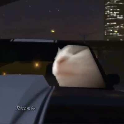 I do want to listen to some tunes