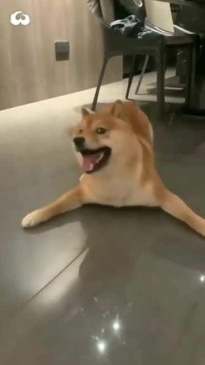 Me looking at all the retailers that accept Doge