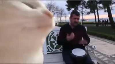 Me vibinto this(also I bet u watched the whole video)