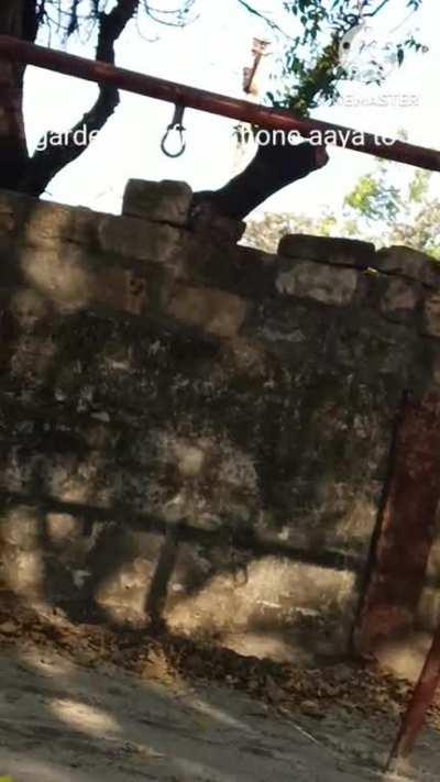 tittle ne sadi kar li