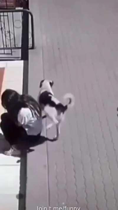 Amazing how dogs know when someone is feeling depressed.