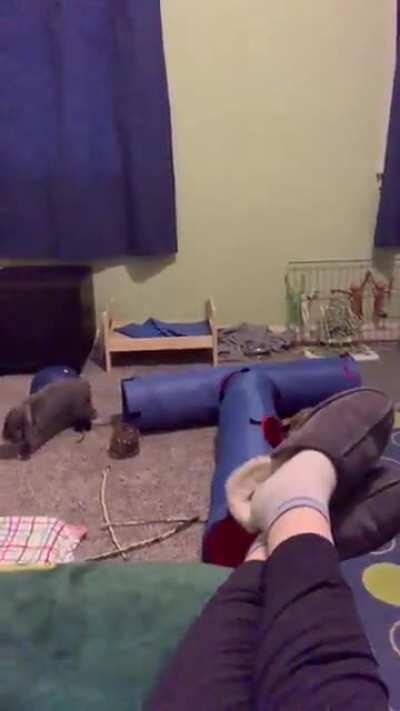 Gary, “I’m coming for you, Friday!”