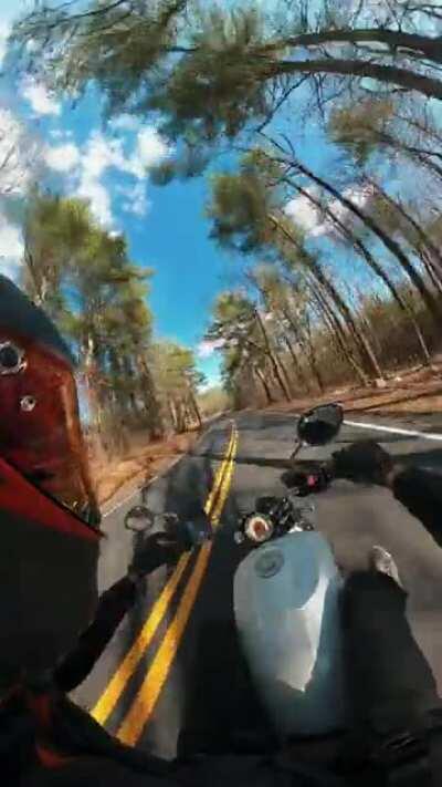 Massachussets has some beautiful back roads I tell ya 🤙🤙