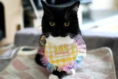 there is no context here