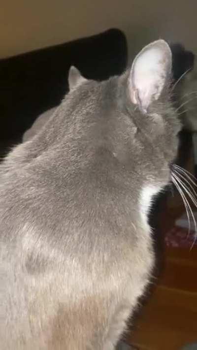 My ex sent me this with no context at 12:18am