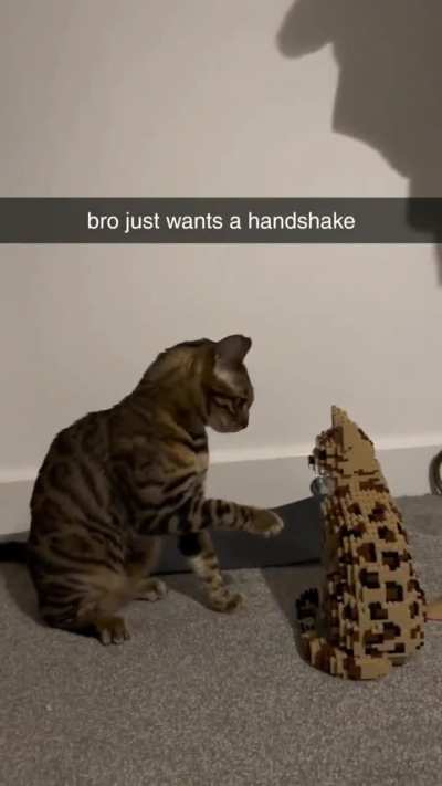 Bro just wants to finalize that contract 😂😂