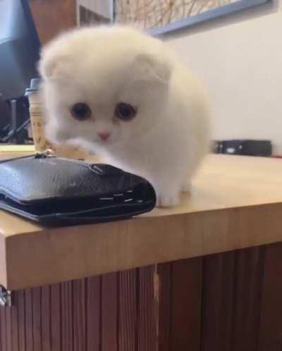 You didn't tell me anything?