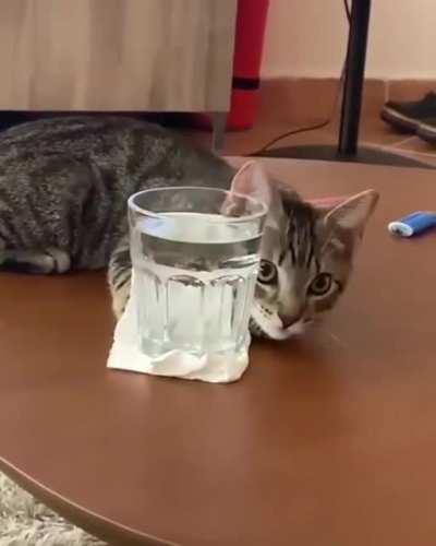 Let me just... help you with that