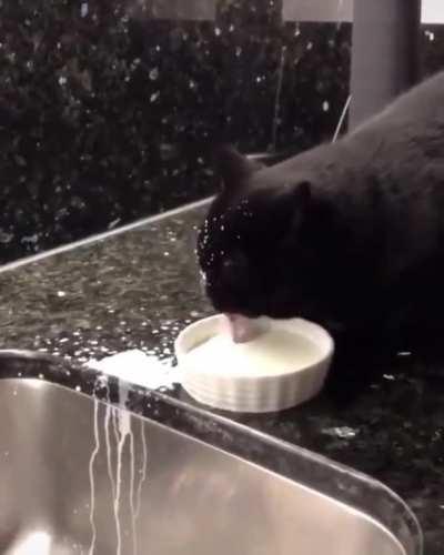 He's trying his best