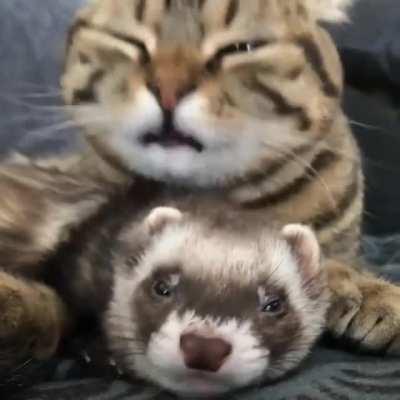 If you like to wash yourself, then it will not be difficult for you to wash your friend.