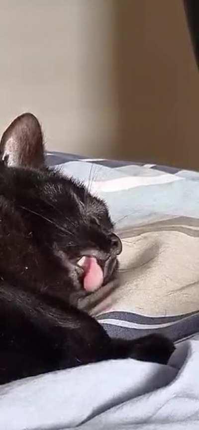 He dream of lick