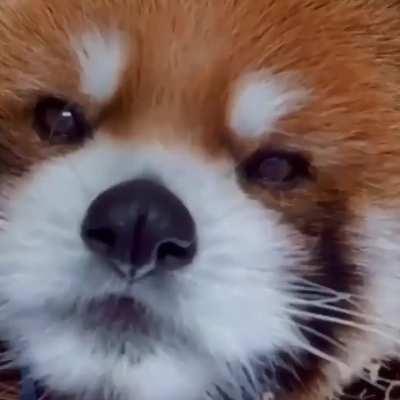 why he is soo cuteeee!