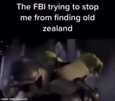 Couldn't post it on dankmemes