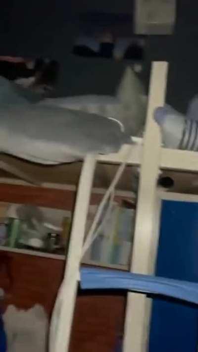 I thought it's a construction drill