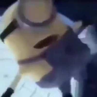 Minion cayendo en Francia 😎