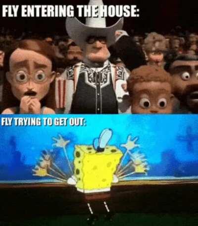 The front door is missing