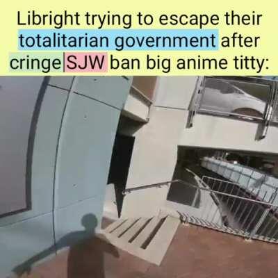 Weebs in a nutshell: