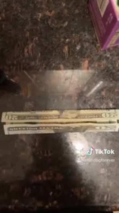 Still not gonna download Tik Tok