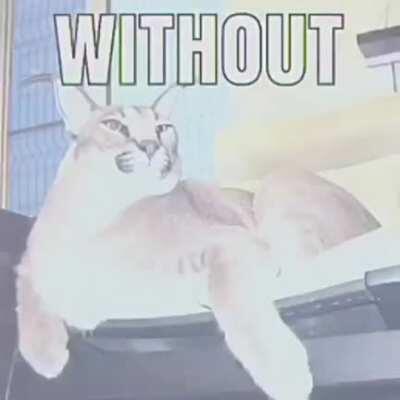 I can’t believe i spent 3 hours on this