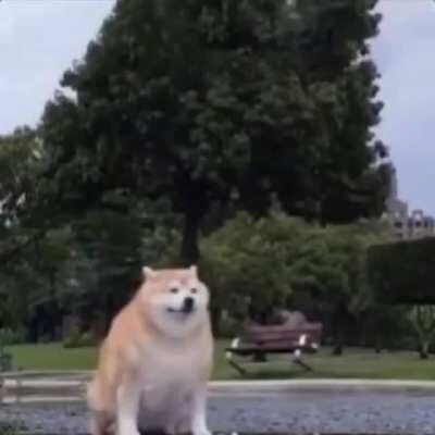 Cuando Candia vuelva a hacer directos.