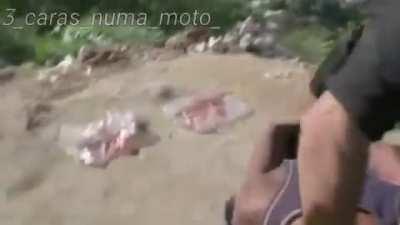 O título foi procurar o baianinho.