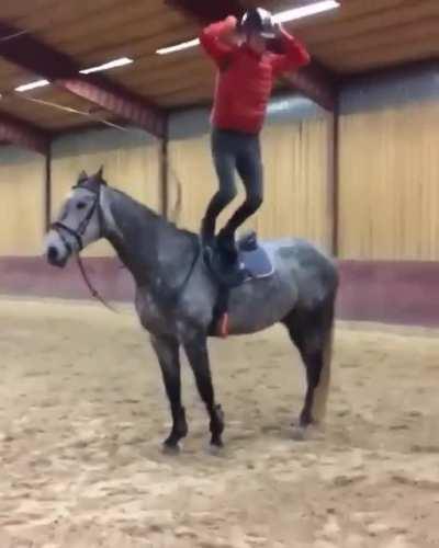 So confident to use the horse as a springboard...