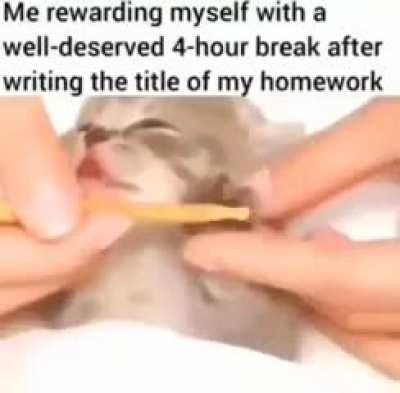 me readying my snack (i am a kitten devourer)