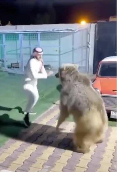 Play time with a furry friend