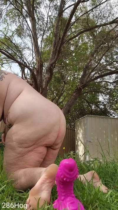 Bet you wish you were my neighbour, peaking over the fence and watching me