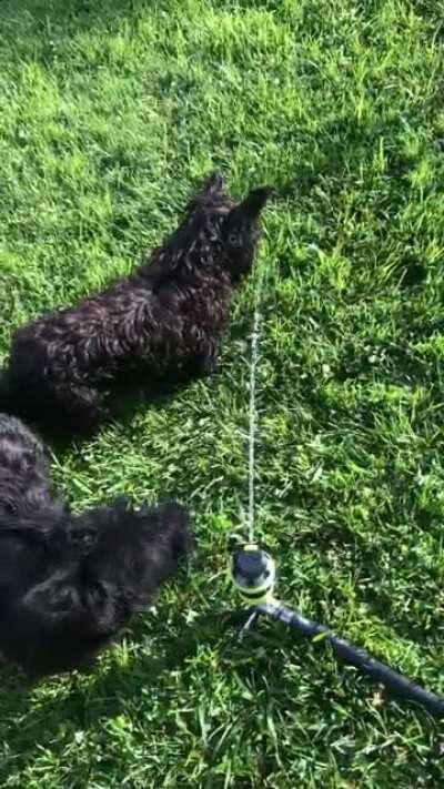 I’ll just have a little drink...