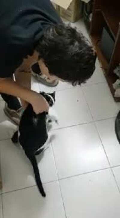 To go for a walk with the cat