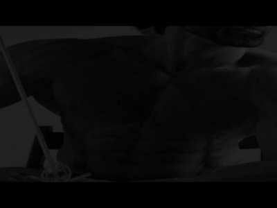 Avarage Sigmar Enjoyer