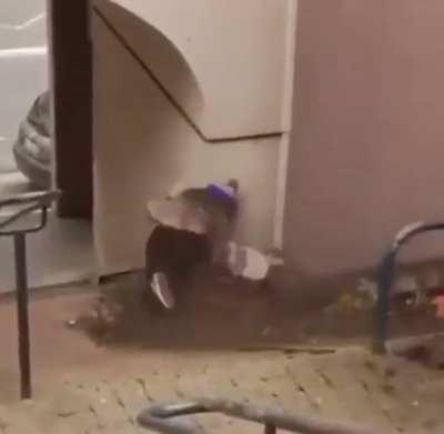 Don’t mess with neighbourhood grandma