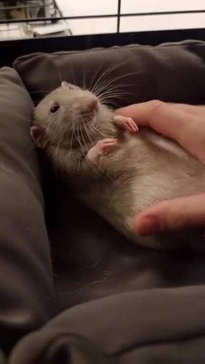 Friday boggles❤️