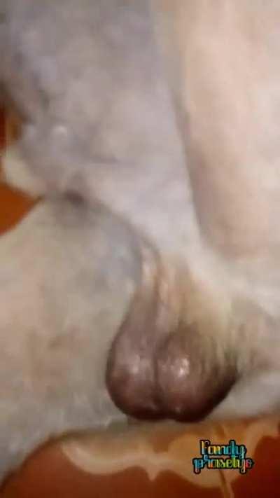 Everybody likes Surprises :)