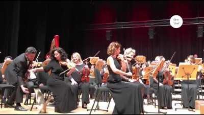 Inspecting the orchestra at a classical music concert.