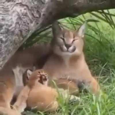 Primeras imagenes de Sexo la pelicula