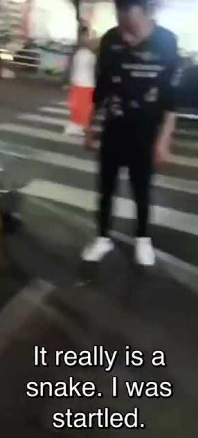 Dont mess with a venomous snake