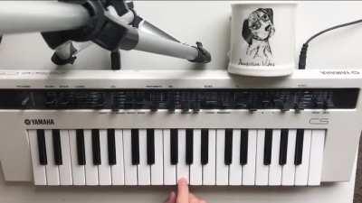 did a synth cover of White Ferrari