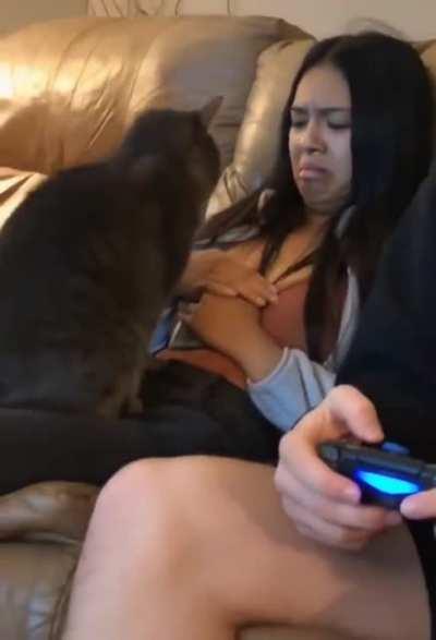 Don't care if you like it or not, pet it!