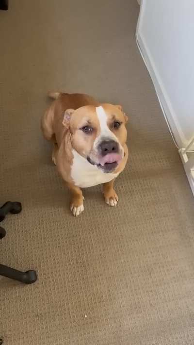 Nice try, she got u...